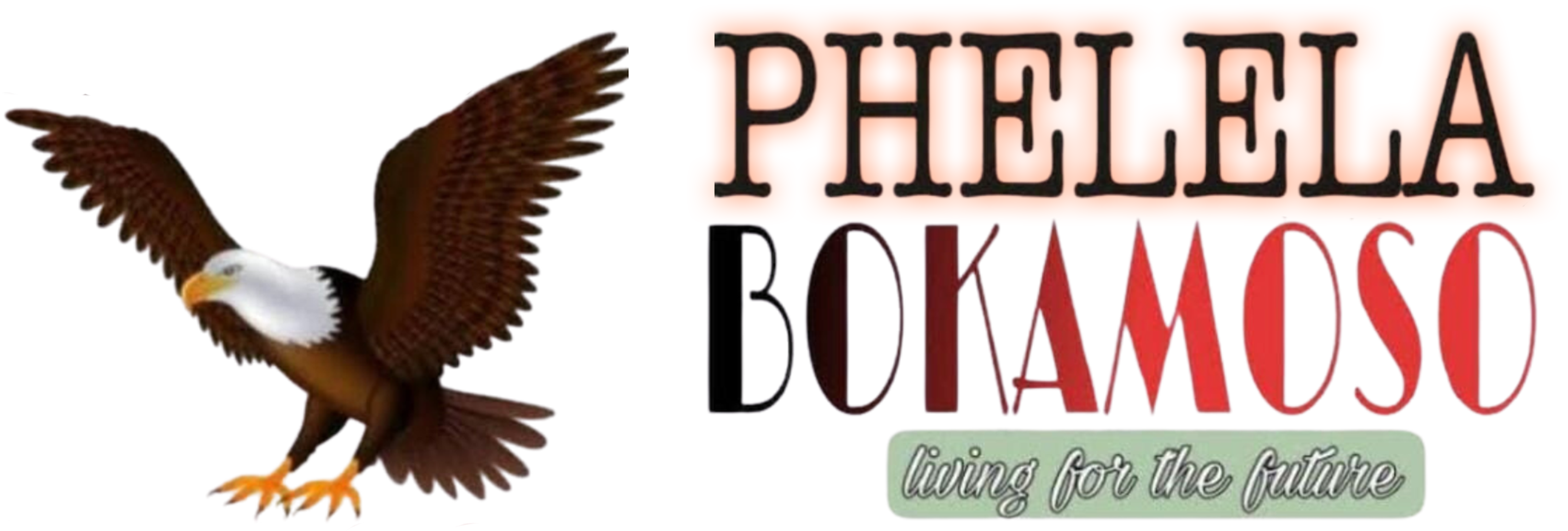 Phelela Bokamoso cdp Logo